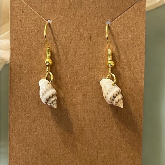 Seashells - Picture 1 of 1